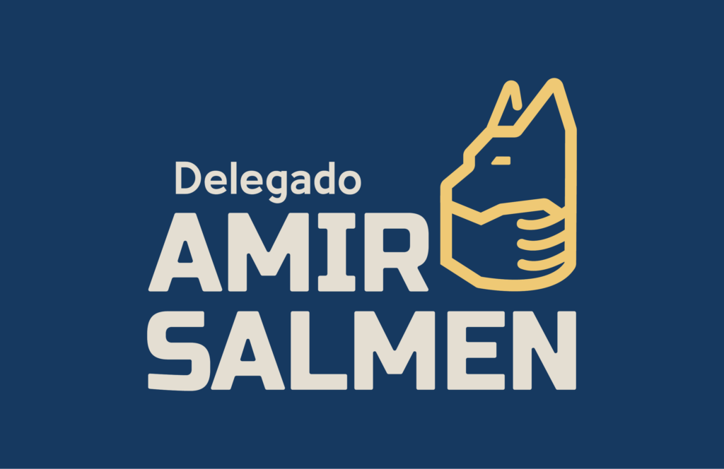 Delegado Amir Salmen